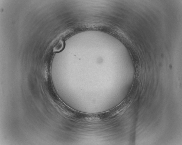 X0000062890644200602031808