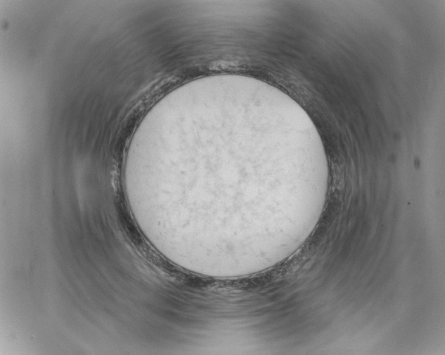 X0000062890648200602031808