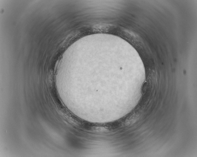 X0000062890649200602031808