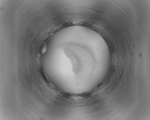 X0000062890650200602031808