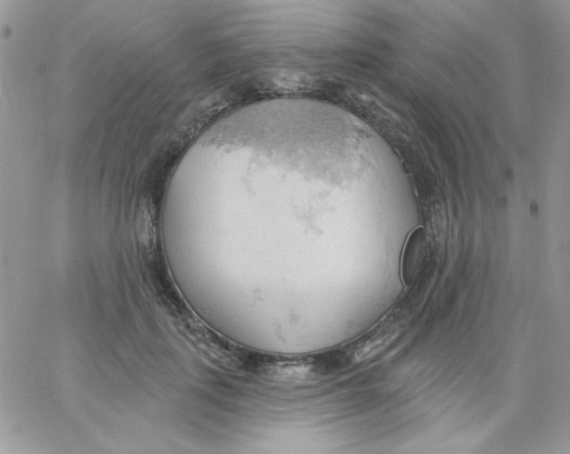 X0000062890651200602031808