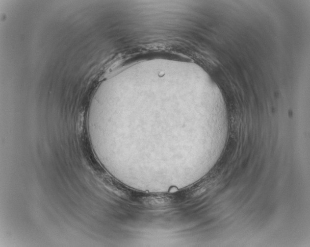 X0000062890652200602031808