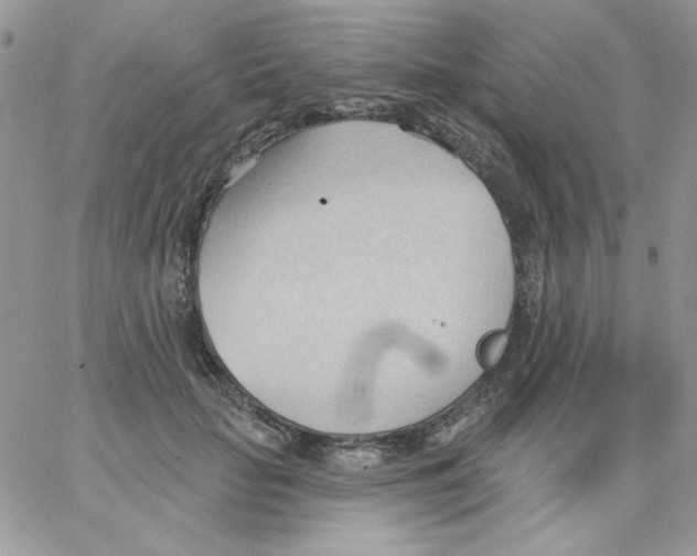 X0000062890653200602031808