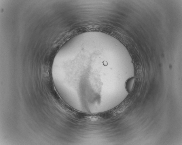 X0000062890654200602031808