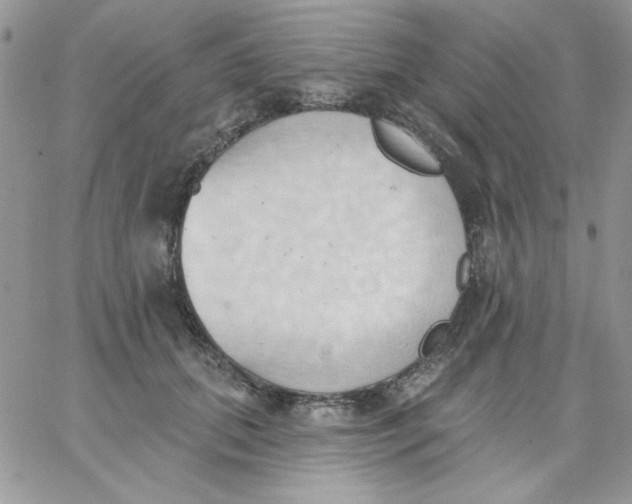 X0000062890655200602031808