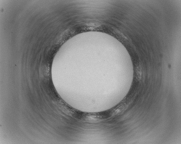 X0000062890657200602031808