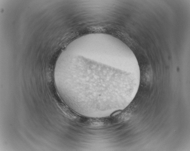 X0000062890658200602031808