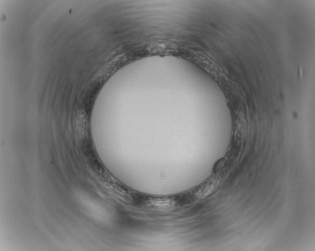 X0000062890659200602031808