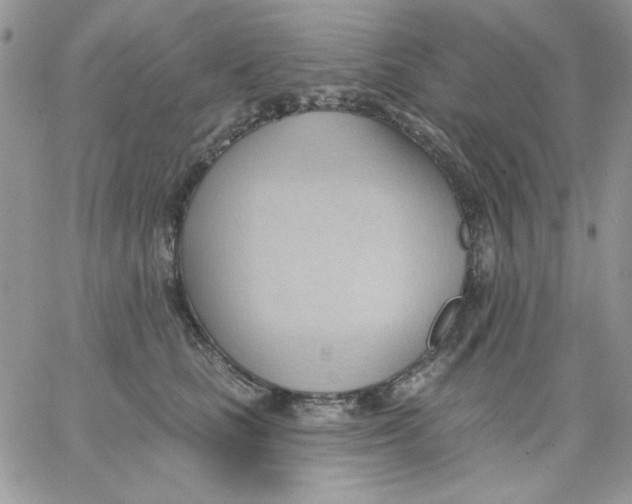 X0000062890661200602031808