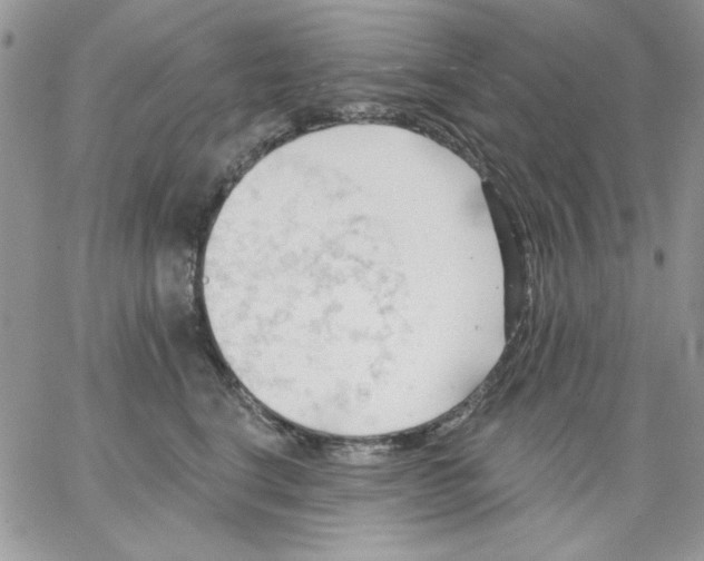 X0000062890664200602031808