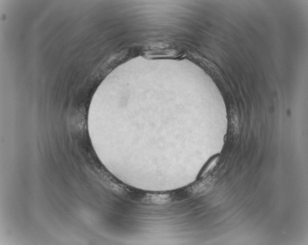 X0000062890665200602031808