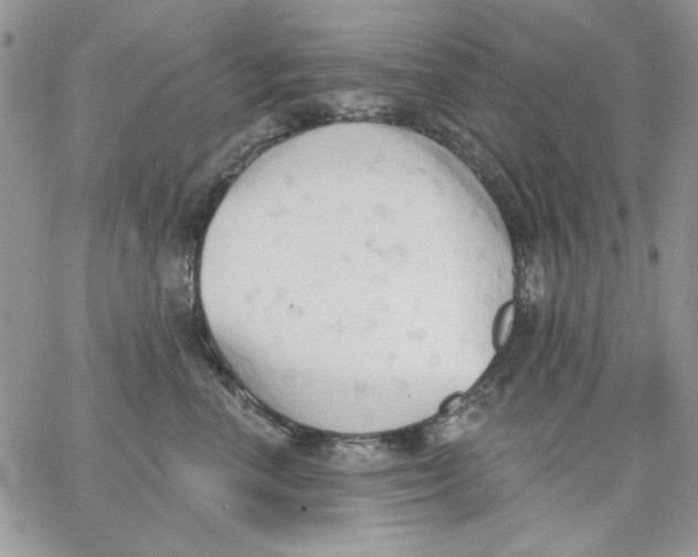 X0000062890666200602031808