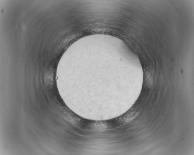 X0000062890668200602031808