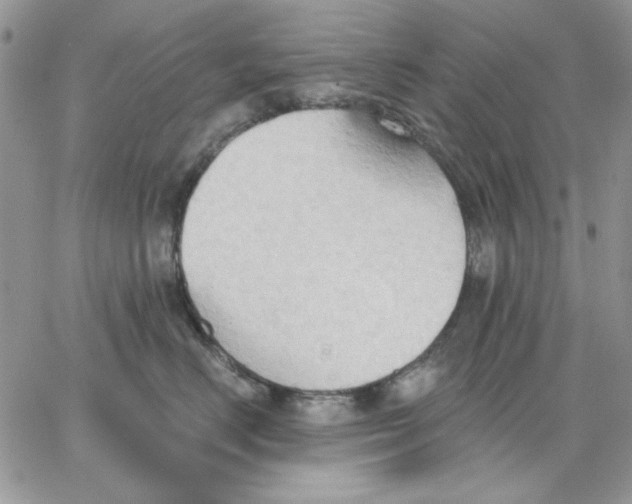 X0000062890670200602031808