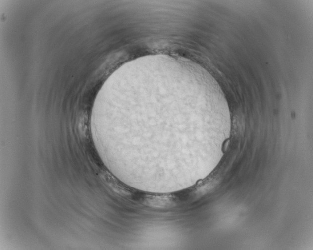 X0000062890671200602031808