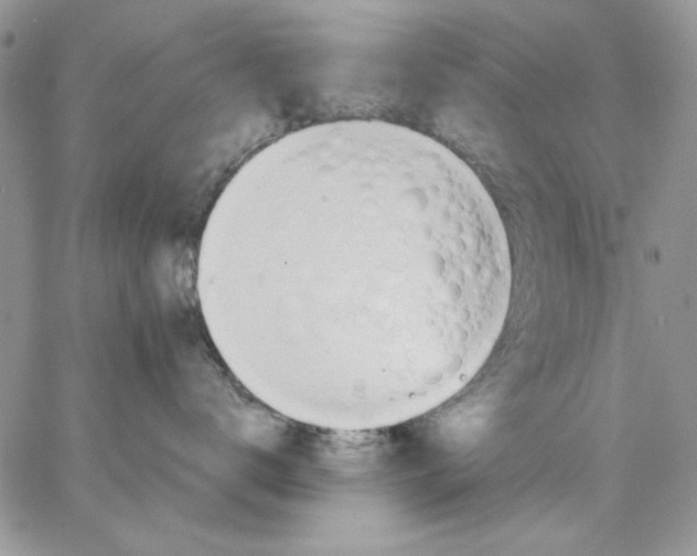 X0000062890672200602031808