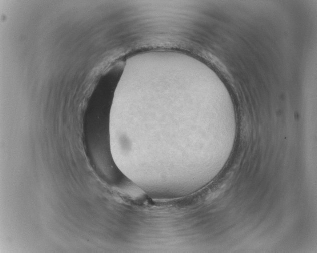 X0000062890673200602031808