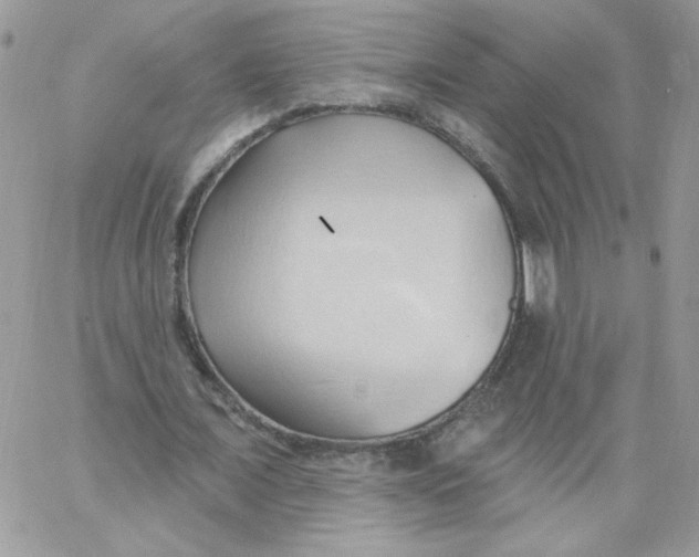 X0000062890675200602031808