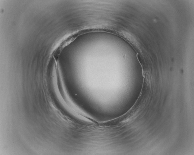 X0000062890676200602031808