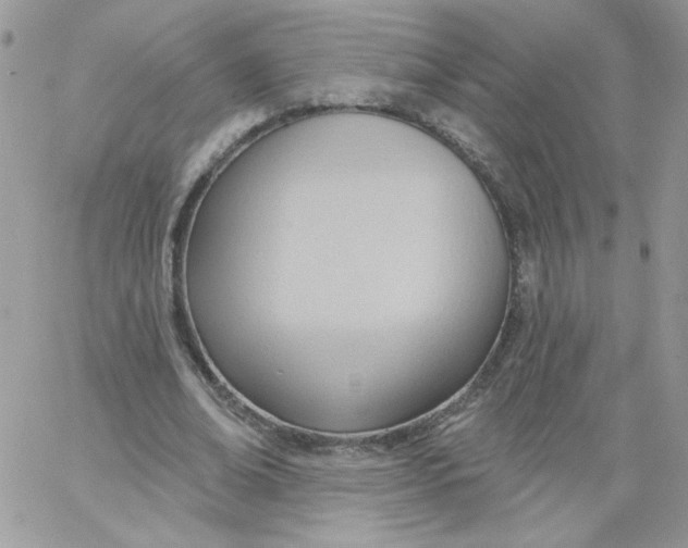 X0000062890678200602031808