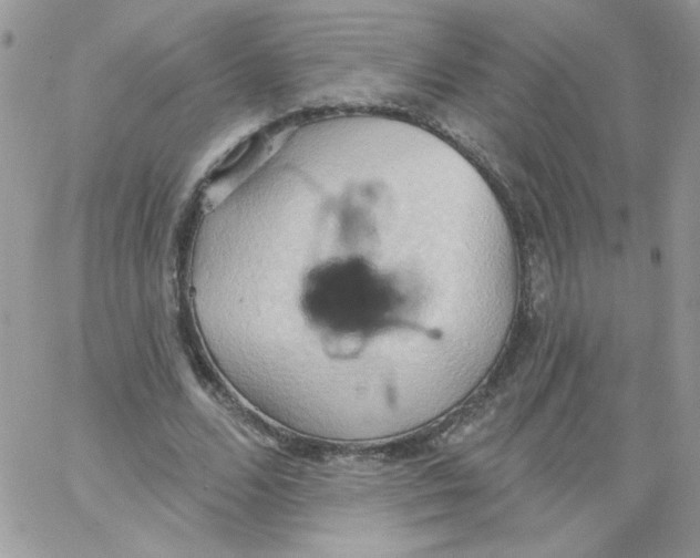 X0000062890680200602031808