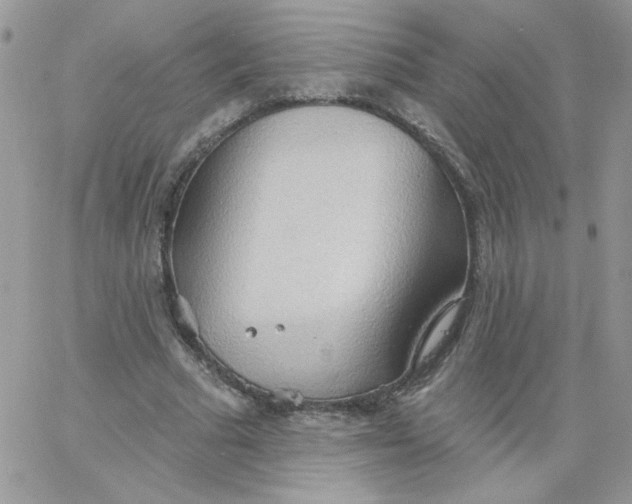 X0000062890681200602031808