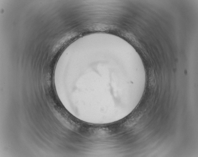 X0000062890683200602031807