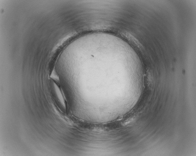 X0000062890684200602031807