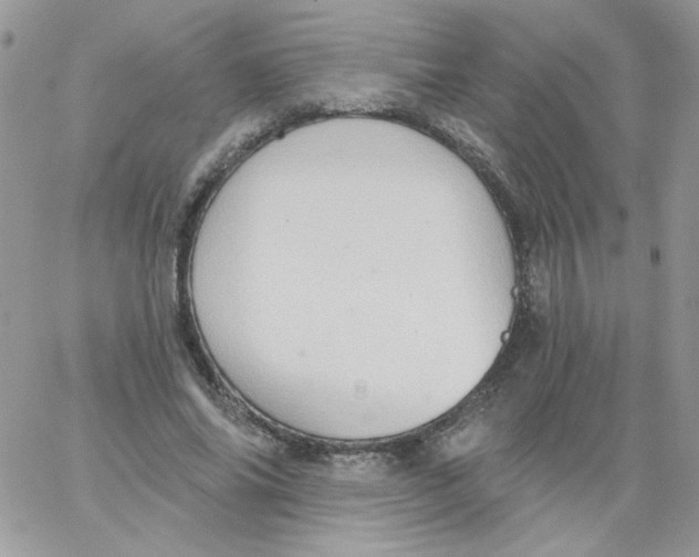 X0000062890686200602031807