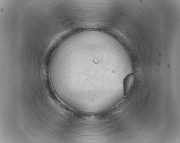 X0000062890688200602031807