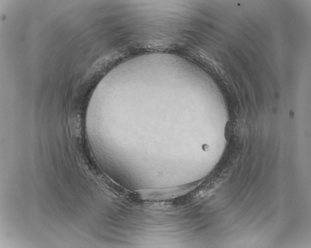 X0000062890689200602031807