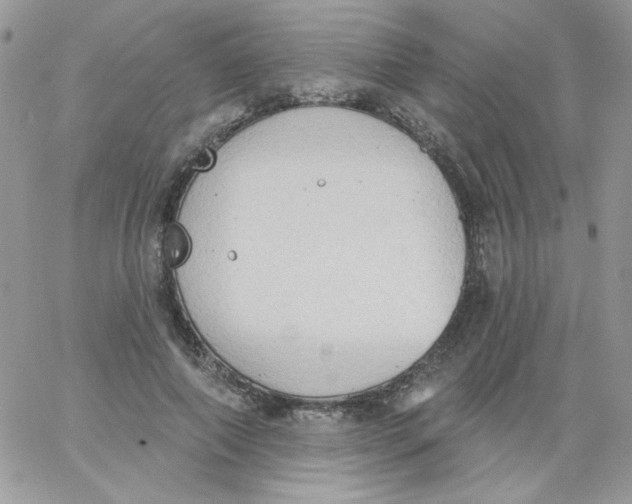 X0000062890690200602031807