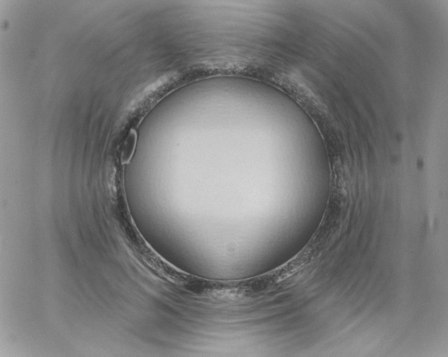 X0000062890692200602031807