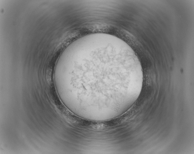 X0000062890695200602031807