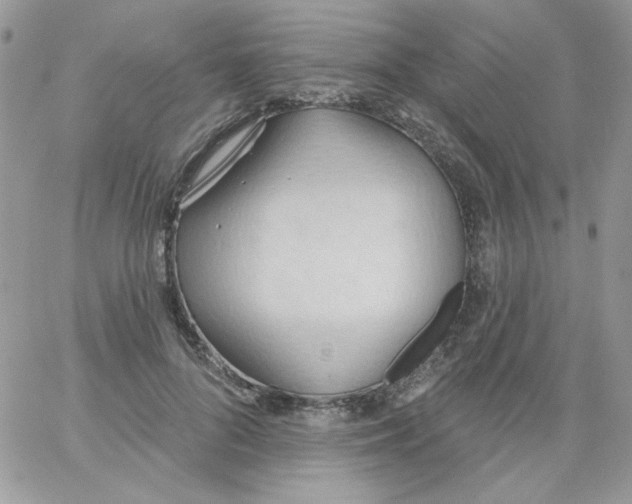 X0000062890696200602031807