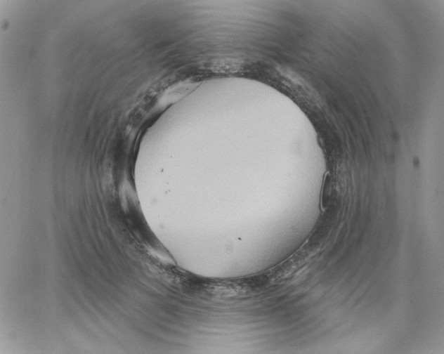 X0000062890697200602031807