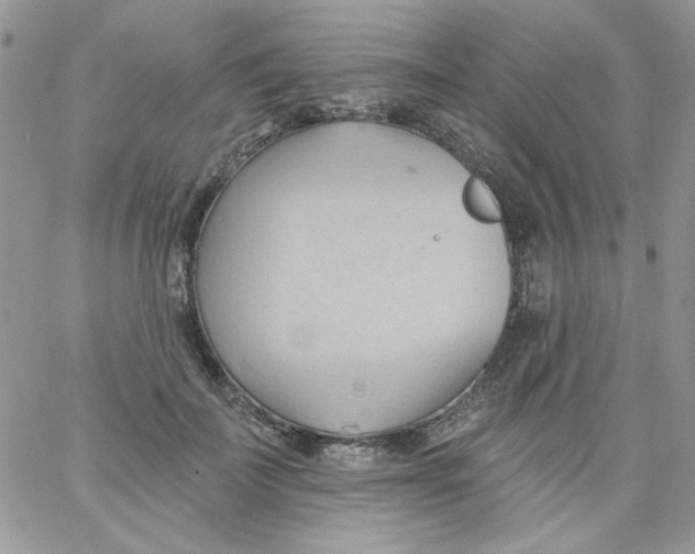 X0000062890699200602031807