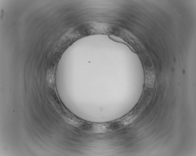 X0000062890701200602031807