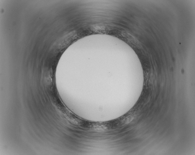 X0000062890702200602031807