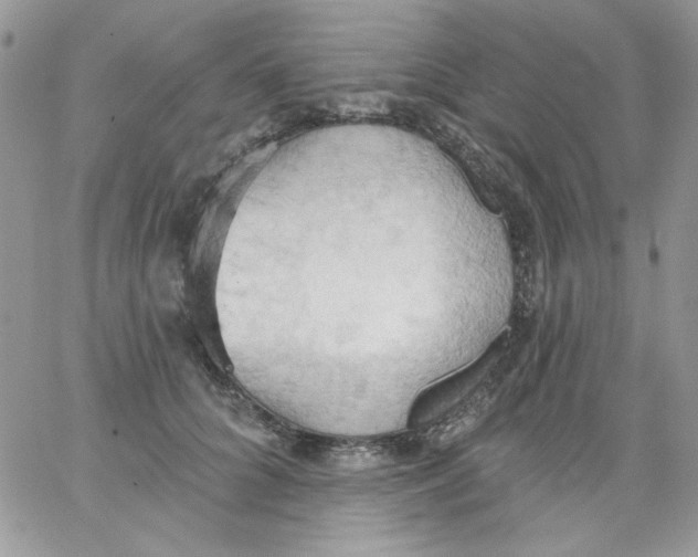 X0000062890704200602031807