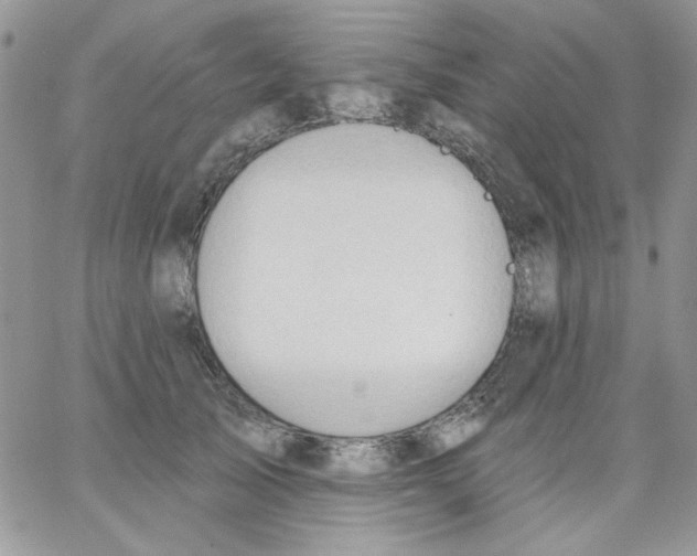 X0000062890705200602031807