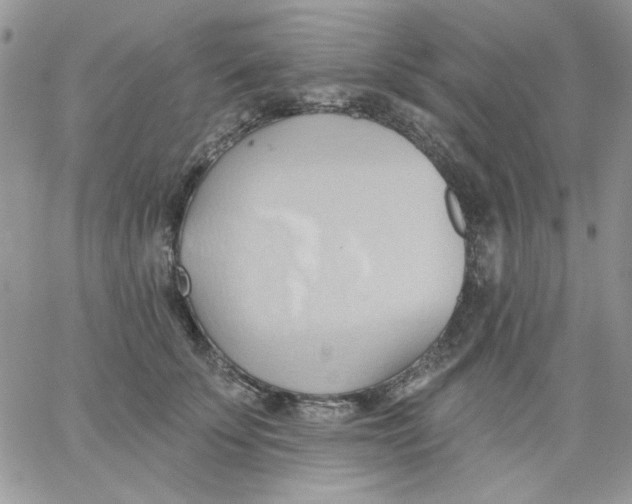 X0000062890707200602031807