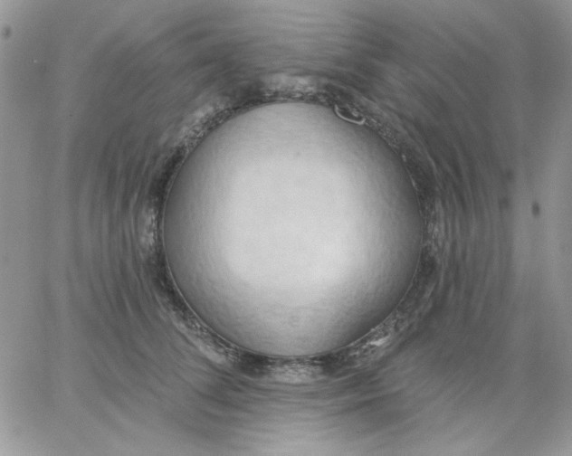 X0000062890708200602031807