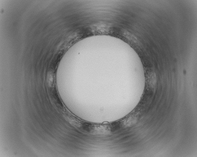 X0000062890709200602031807