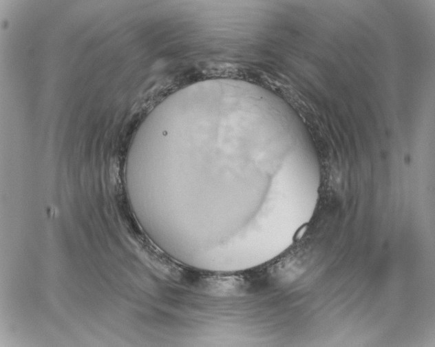 X0000062890711200602031807