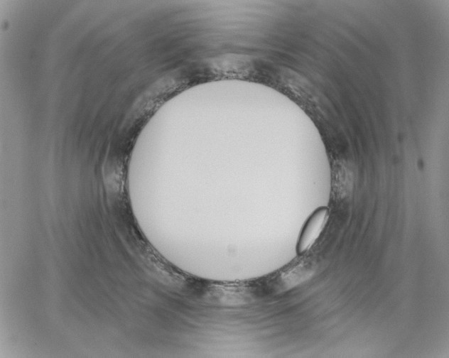 X0000062890713200602031807