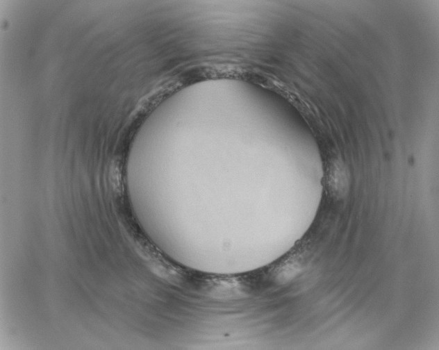 X0000062890715200602031807