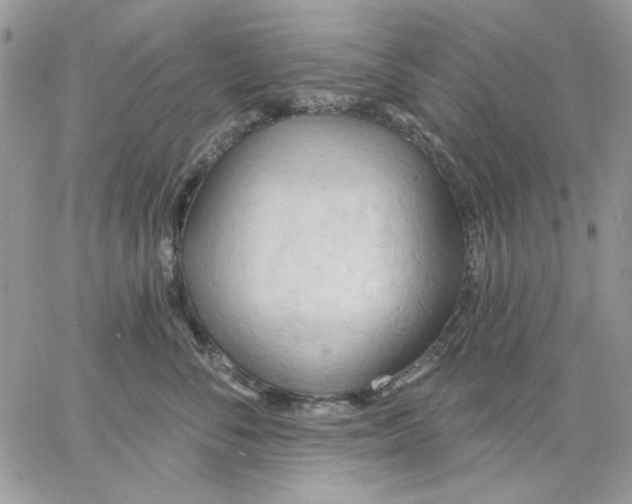 X0000062890716200602031807