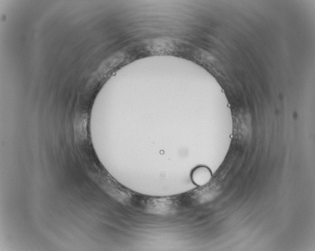 X0000062890717200602031807