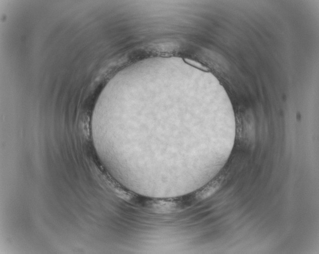 X0000062890718200602031807